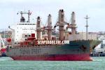 ID 2641 Tasman Trader